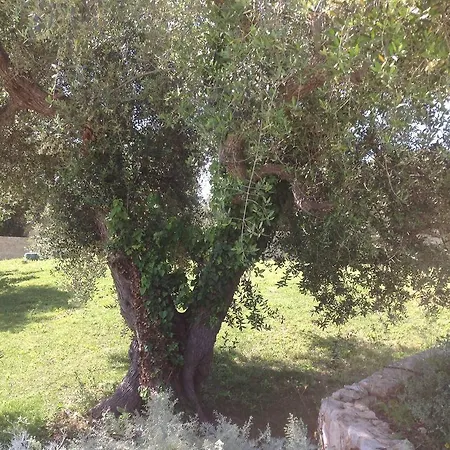 Appartement Sole Luna *